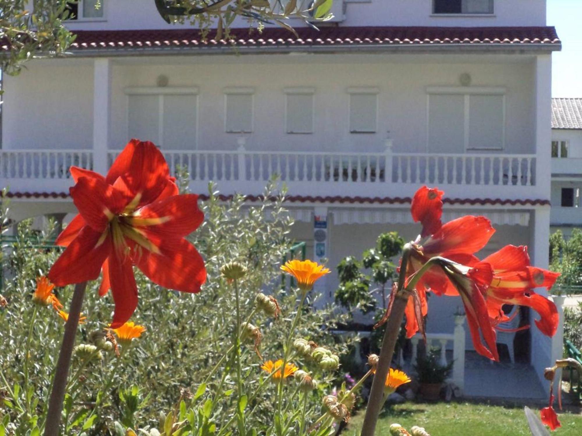 Lovely Meta Apartments Palit Esterno foto